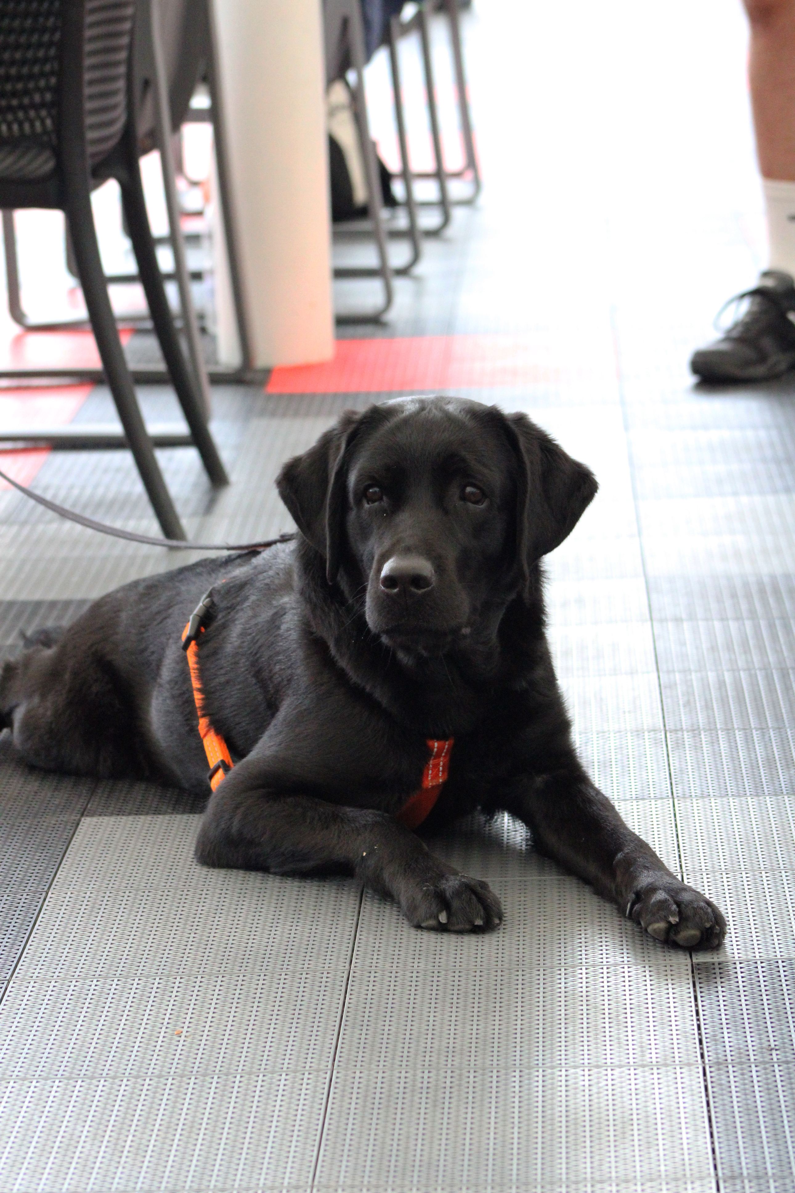 4ta Jornada Pádel - 6M - CIVB21